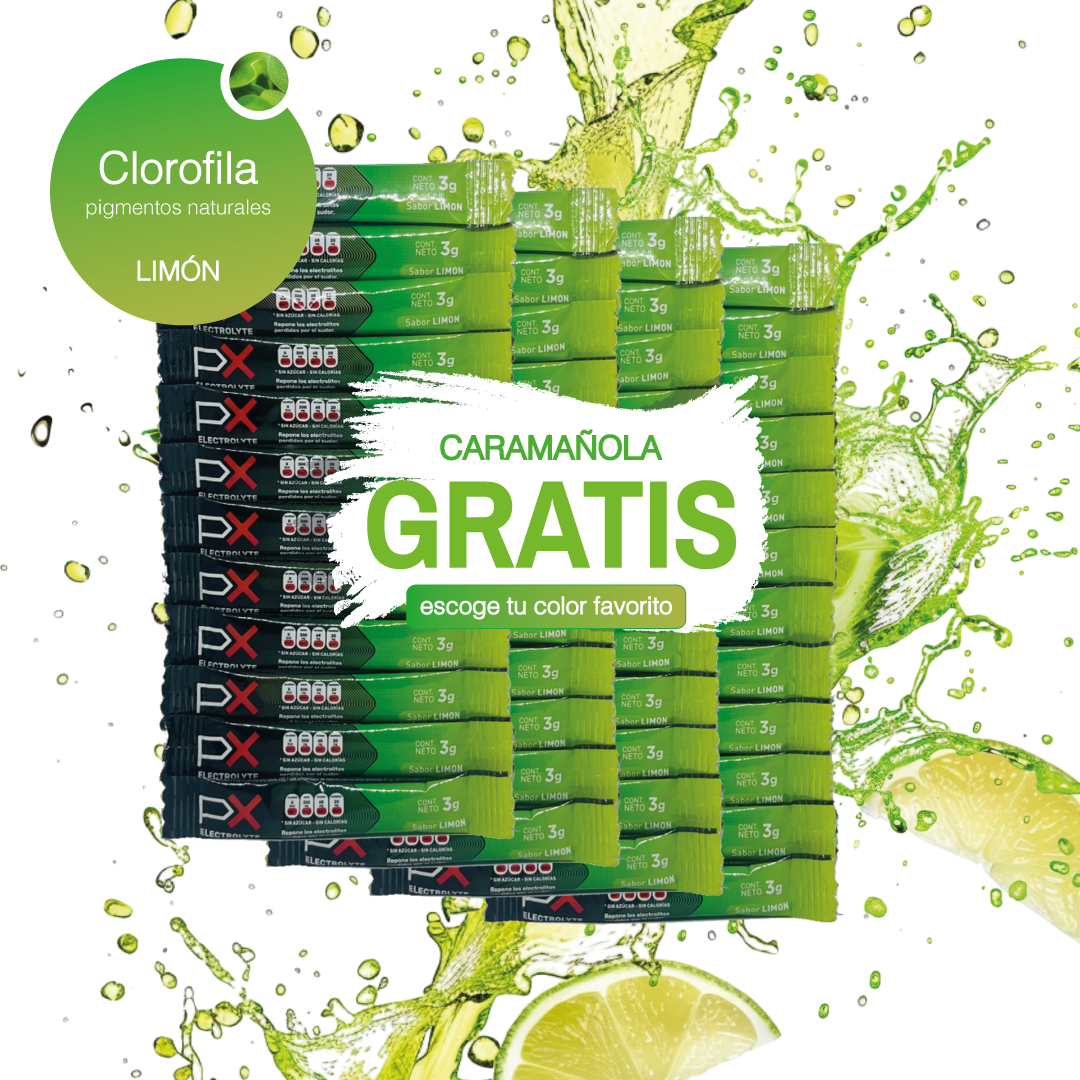 48 sobres de PX Electrolyte + Caramañola. Bebida hidratante sin azúcar / sin calorías