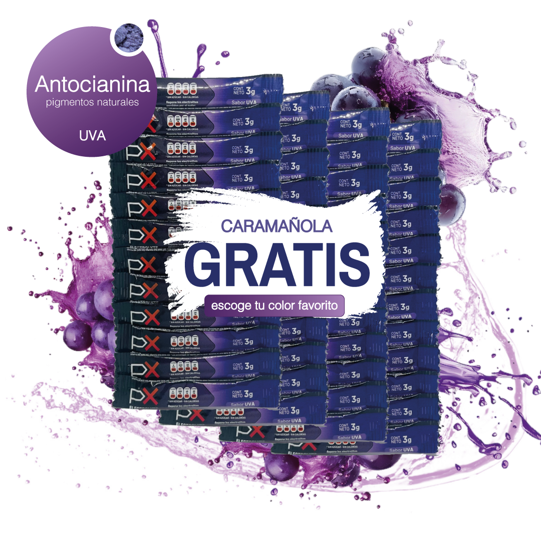 48 sobres de PX Electrolyte + Caramañola. Bebida hidratante sin azúcar / sin calorías