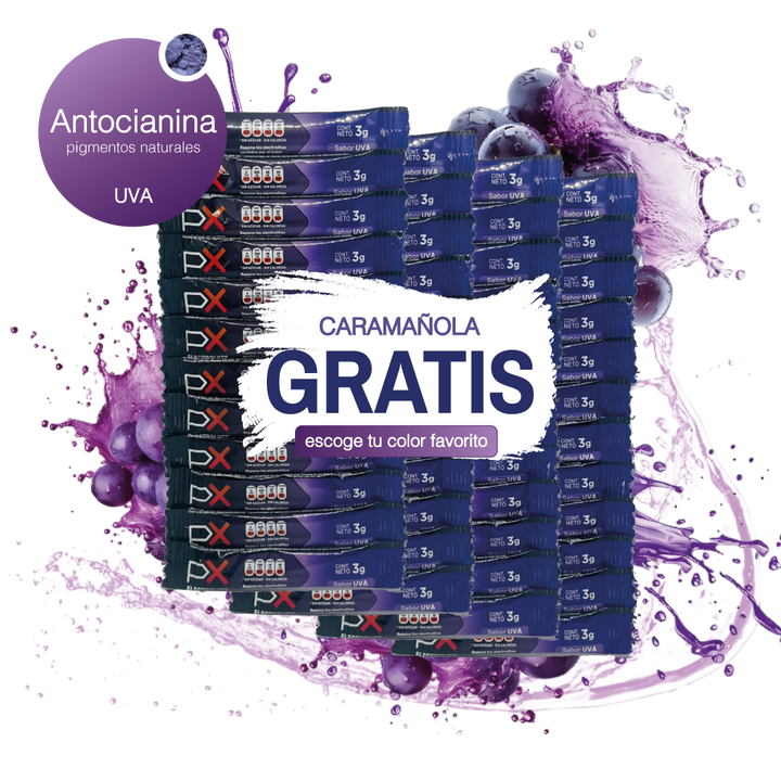 48 sobres de PX Electrolyte + Caramañola. Bebida hidratante sin azúcar / sin calorías