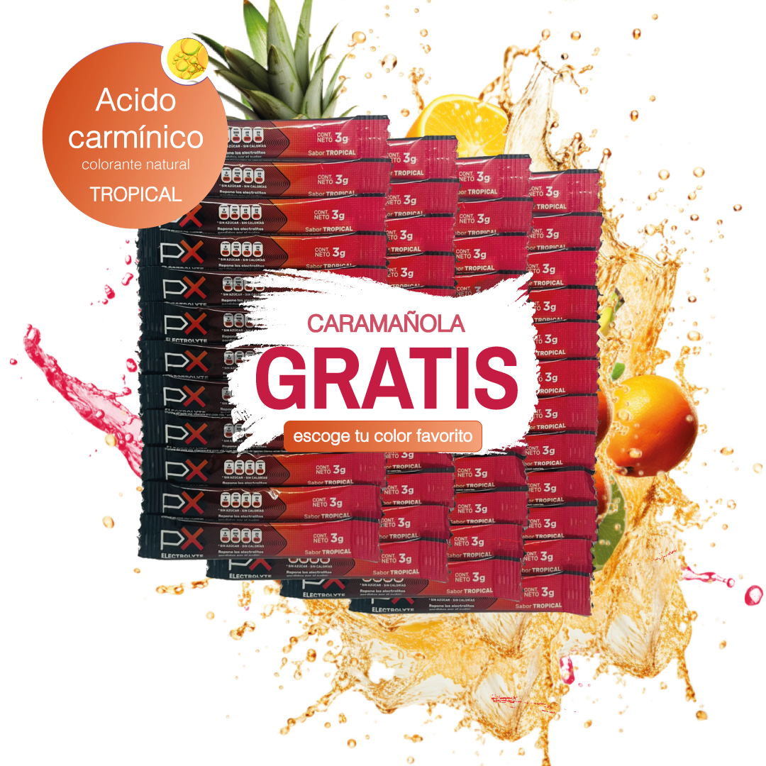 48 sobres de PX Electrolyte + Caramañola. Bebida hidratante sin azúcar / sin calorías