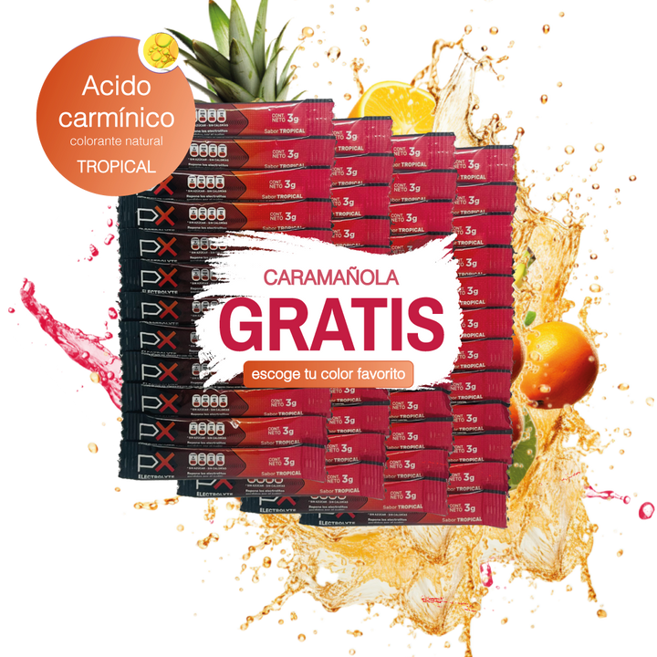 48 sobres de PX Electrolyte + Caramañola. Bebida hidratante sin azúcar / sin calorías